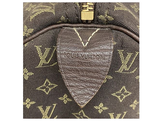 Bolso Louis Vuitton Monogram Mini Lin Speedy 30 Damier ebene - vista 5
