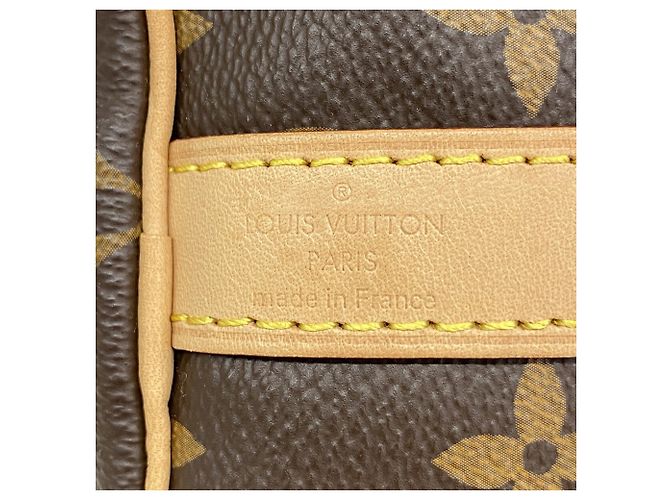 Borsa Louis Vuitton Monogram Spie Bandoulière 25 - vista 5