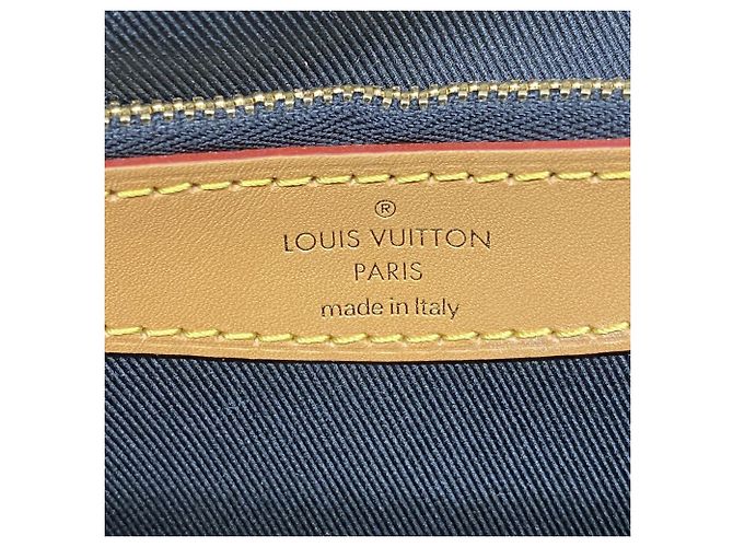 Borsa Louis Vuitton Monogram Diane NM PM - vista 5
