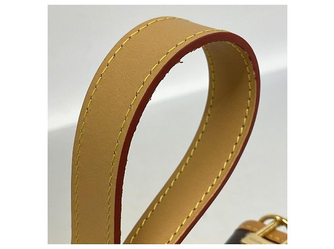 Borsa Louis Vuitton Monogram Diane NM PM - vista 8