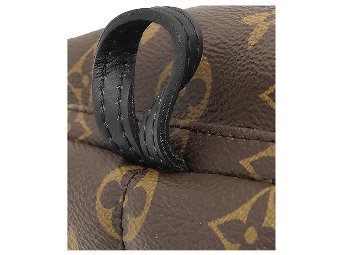 Louis Vuitton Brown Monogram Mini Palm Springs Marrom - vista 10