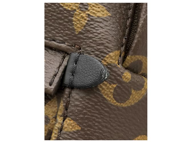 Louis Vuitton Brown Monogram Mini Palm Springs Marrom - vista 11