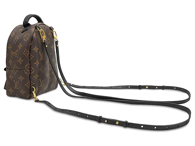 Louis Vuitton Brown Monogram Mini Palm Springs Marrom - vista 2