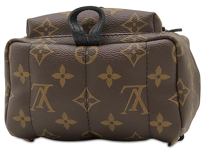 Louis Vuitton Brown Monogram Mini Palm Springs Marrom - vista 3