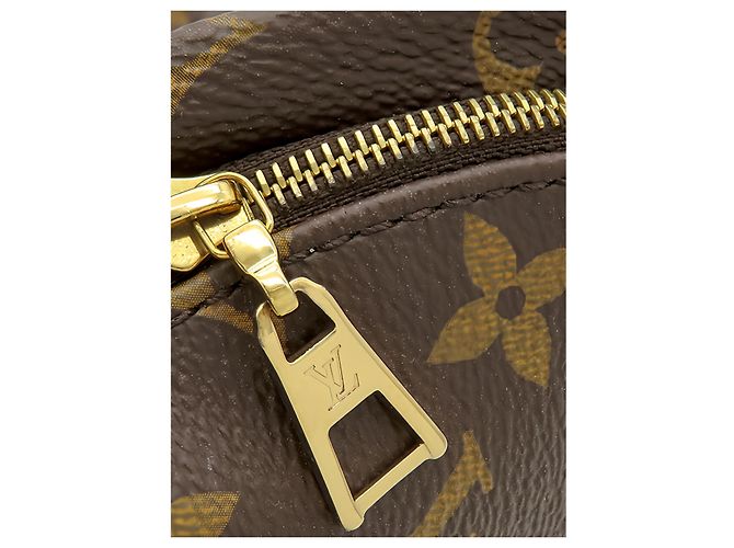 Louis Vuitton Brown Monogram Mini Palm Springs Marrom - vista 8