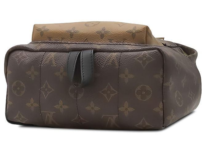 Louis Vuitton Brown Monogram Reverse Palm Springs PM Braun - Ansicht 3