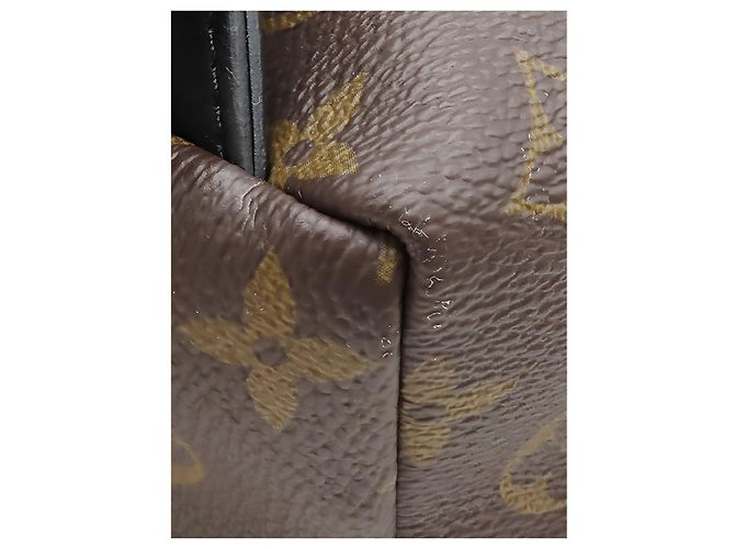 Louis Vuitton Brown Monogram Reverse Palm Springs PM Braun - Ansicht 7