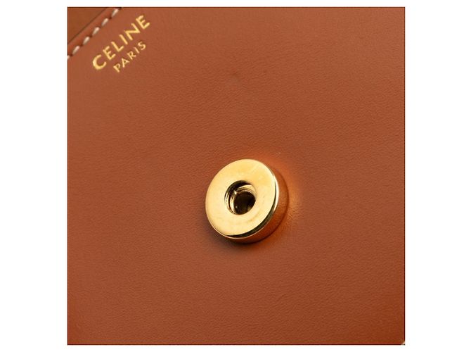 Céline Borsa a tracolla Celine Triomphe Mini Buzas Cuire Marrone - vista 6