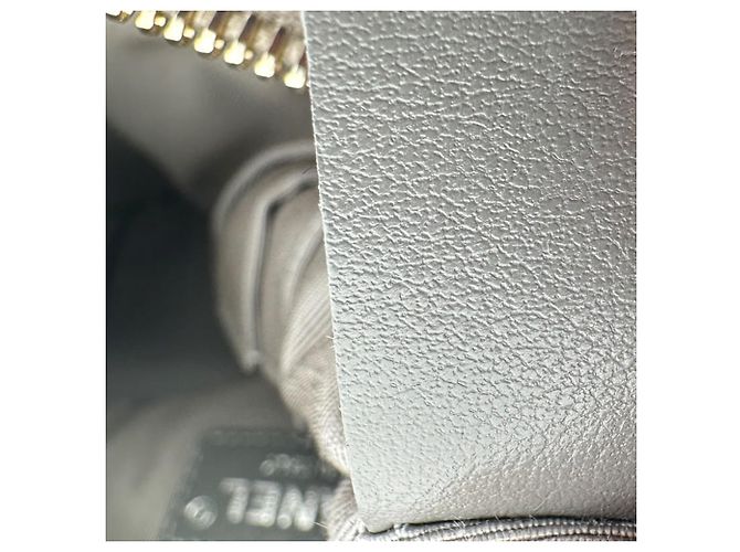 Borsa a tracolla piccola Gabrielle di Chanel in pelle grigia Stampa python - vista 12