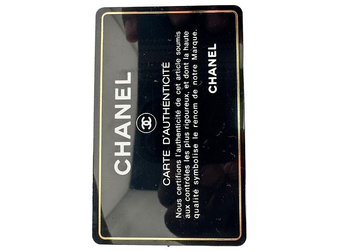 Borsa a tracolla piccola Gabrielle di Chanel in pelle grigia Stampa python - vista 13