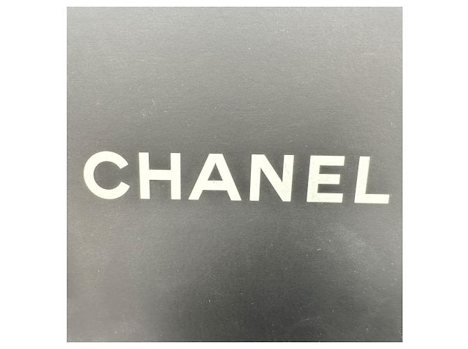 Borsa a tracolla piccola Gabrielle di Chanel in pelle grigia Stampa python - vista 17