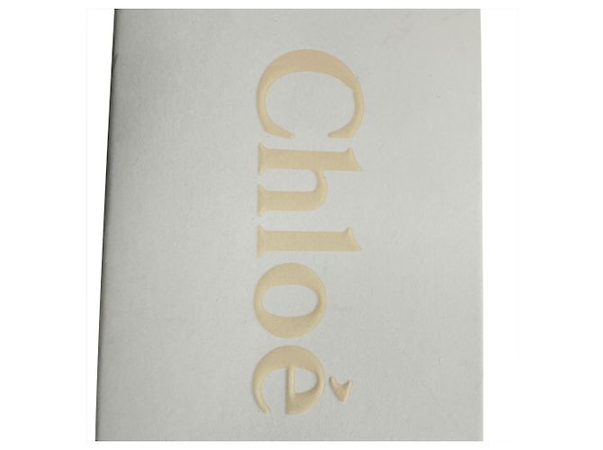 Chloé Carlina Twist Oversized Runde Sonnenbrille in Silber-Metall Metallisch - Ansicht 12