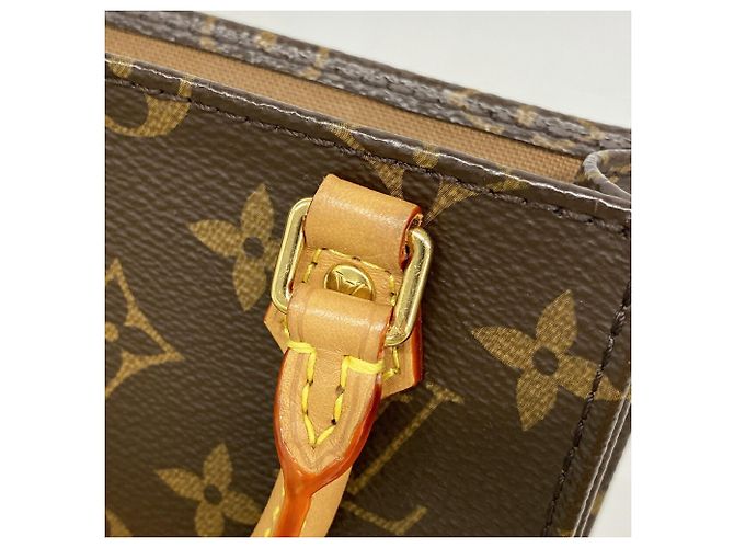 Bolso Louis Vuitton Monogram Petite Sac Plat - vista 10
