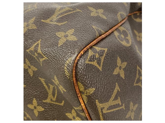 Bolso de mano Louis Vuitton Monogram Speedy 30 - vista 10