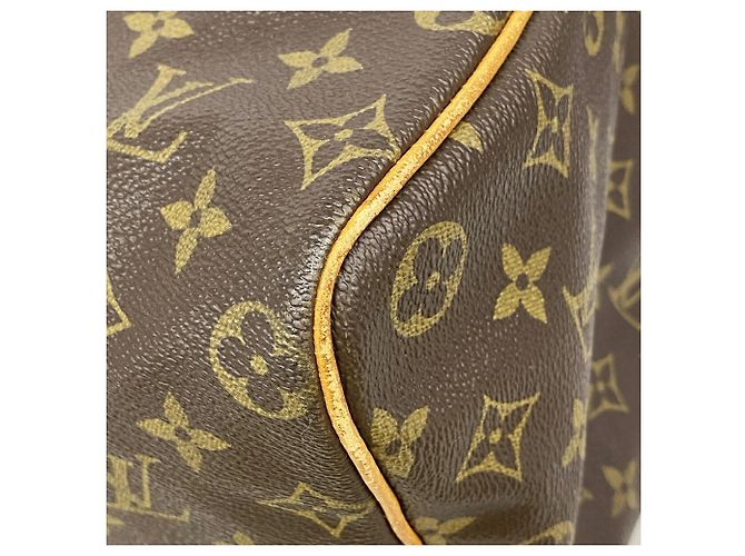 Bolsa Louis Vuitton Monogram Speedy 40 Marrom - vista 6