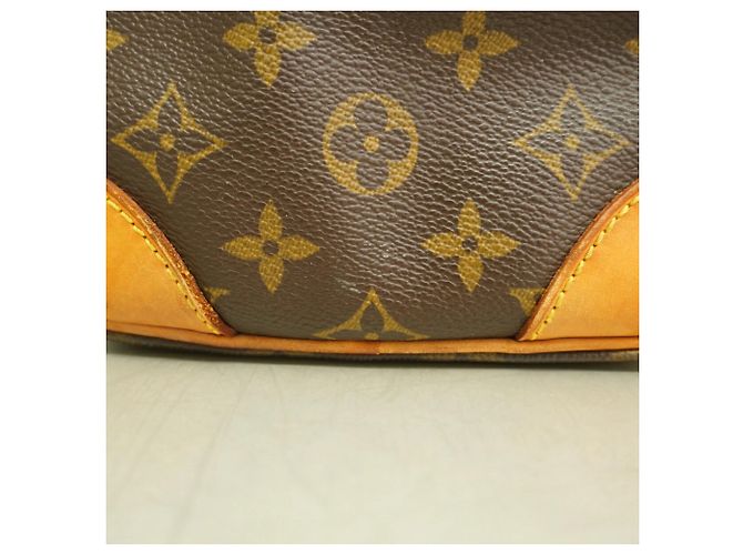 Bolso de hombro Louis Vuitton Monogram Amazon - vista 9