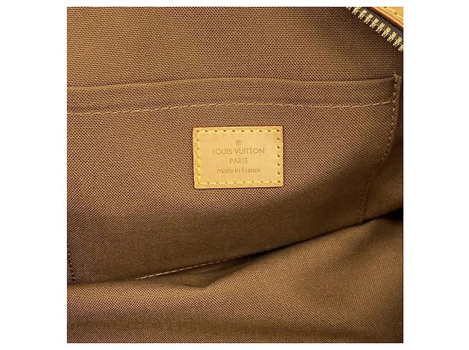 Bolso Tote Louis Vuitton Monogram Riviette - vista 5