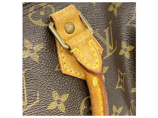 Borsa Louis Vuitton Monogram Speedy 25 Marrone - vista 9