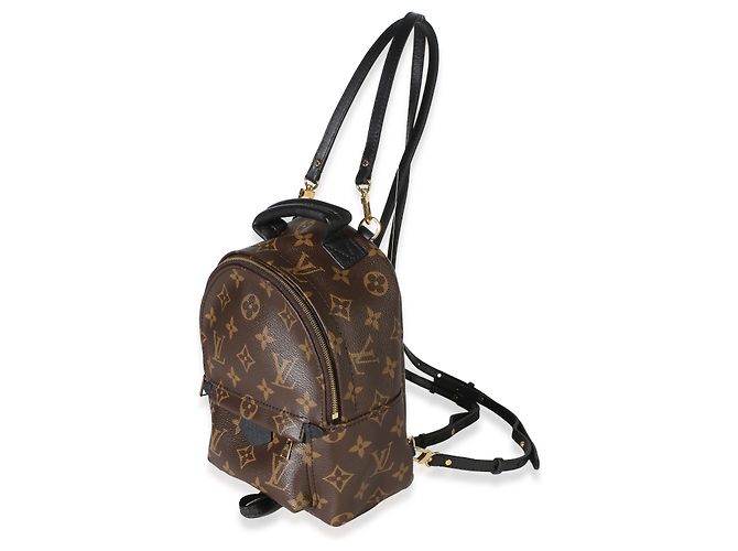 Mochila Mini Palm Springs de lona Monogram Louis Vuitton Castaño - vista 3