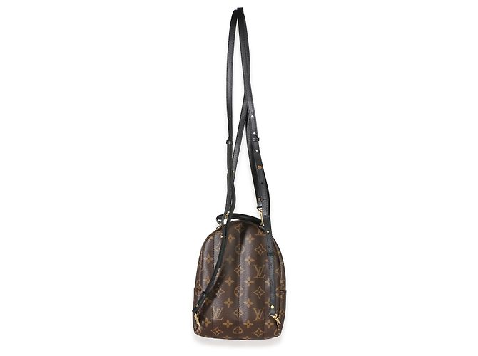 Mochila Mini Palm Springs de lona Monogram Louis Vuitton Castaño - vista 6