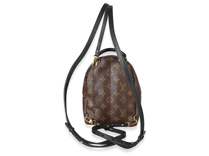 Louis Vuitton Monogram Canvas Mini Palm Springs Marrone - vista 2