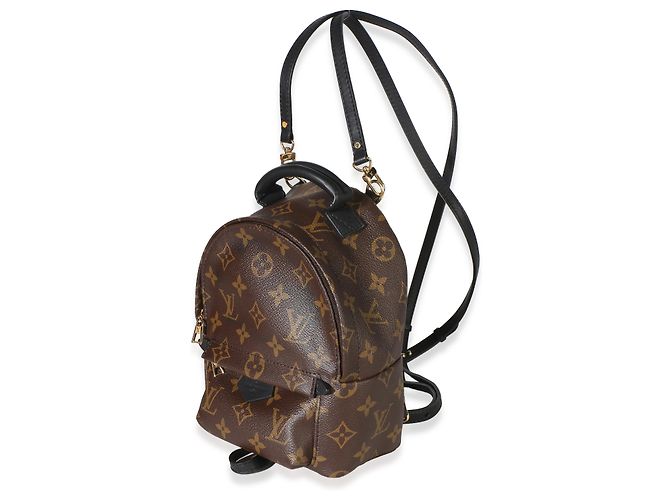 Louis Vuitton Monogram Canvas Mini Palm Springs Marrone - vista 3