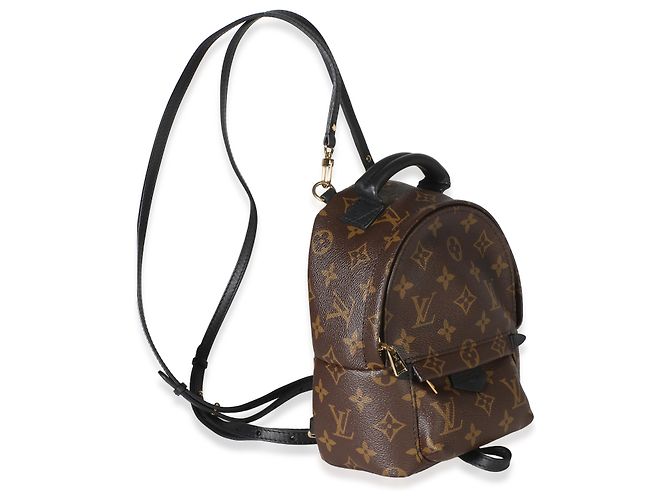Louis Vuitton Monogram Canvas Mini Palm Springs Marrone - vista 4