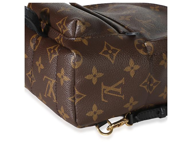 Louis Vuitton Monogram Canvas Mini Palm Springs Marrone - vista 5