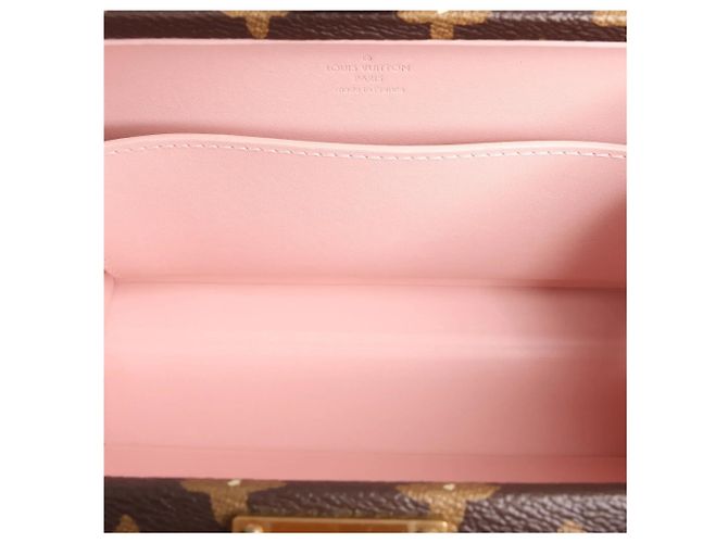 Borsa a tracolla Louis Vuitton Trunk Monogram Craggy Canva by Tyler, the Creator in marrone M11120 Brown - vista 11