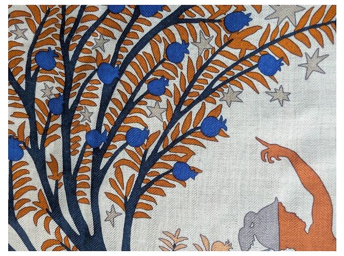 Hermès Sous le Charme d'Orphée 140 Chal Cachemira Seda - vista 10