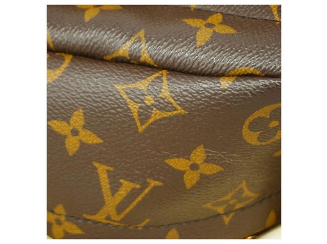 Mochila Louis Vuitton Monogram Palm Springs Mini - vista 11