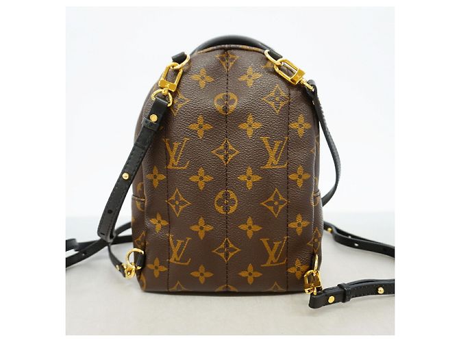 Mochila Louis Vuitton Monogram Palm Springs Mini - vista 12