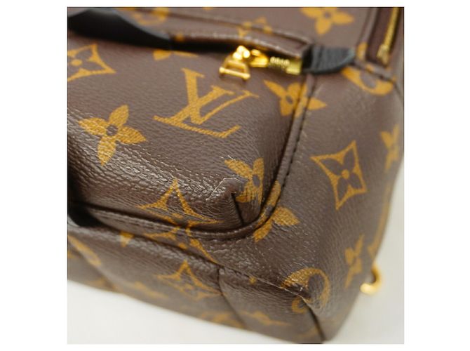 Mochila Louis Vuitton Monogram Palm Springs Mini - vista 6
