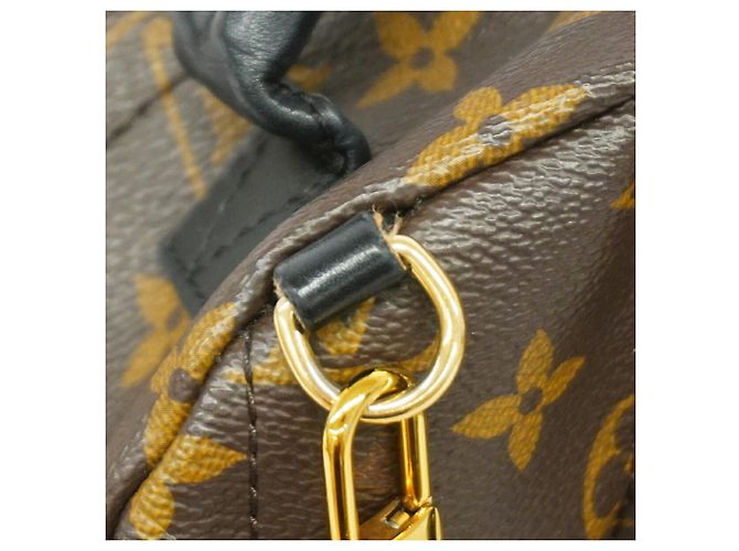 Mochila Louis Vuitton Monogram Palm Springs Mini - vista 8