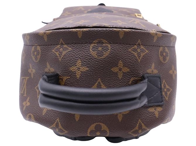 Louis Vuitton Brown Monogram Palm Springs PM - vue 12