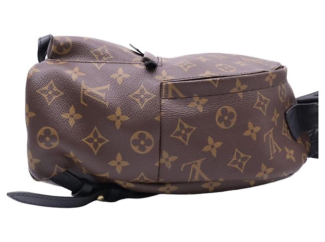 Louis Vuitton Brown Monogram Palm Springs PM - vue 14