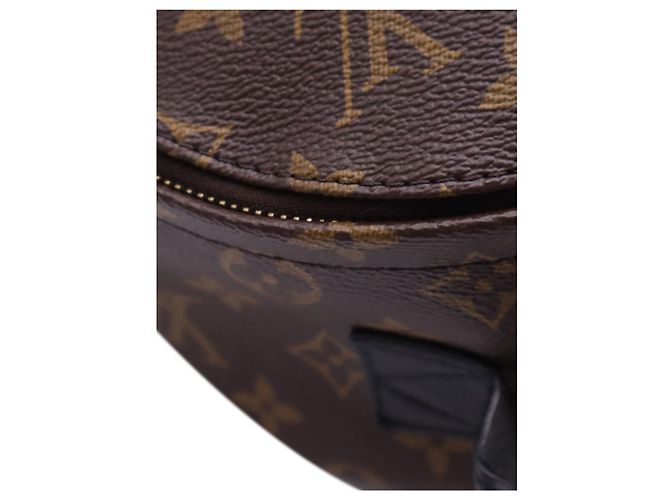 Louis Vuitton Brown Monogram Palm Springs PM - vue 8