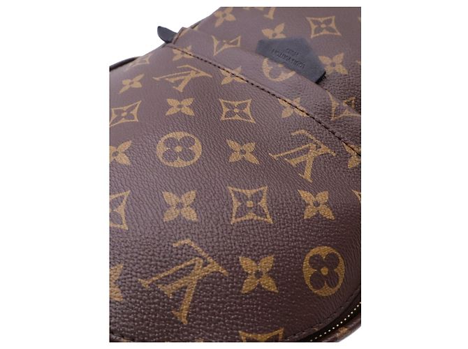 Louis Vuitton Brown Monogram Palm Springs PM - vue 9