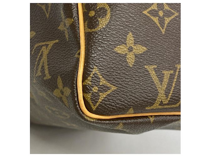Borsa Louis Vuitton Monogram Speedy 30 - vista 6