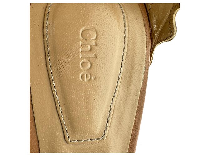 Chloé Lauren Ankle-Strap Ballet Flats in Tan Leather - view 11