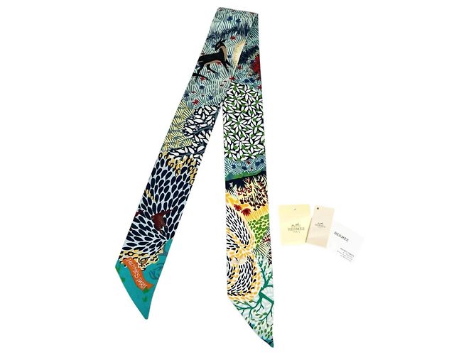 Hermès Twilly Hermes Multicolor - vista 2