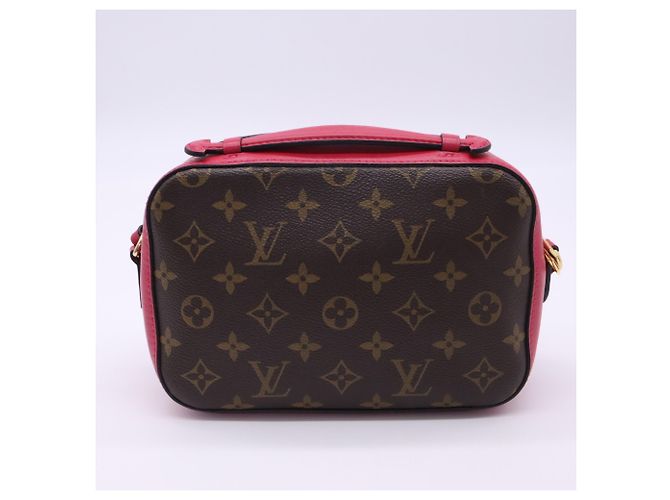 Borsa a tracolla Louis Vuitton Monogram Saint-Onge Freesia - vista 2