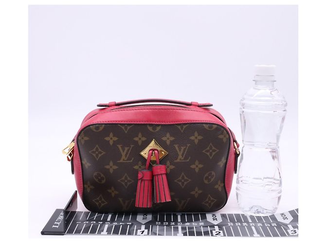 Borsa a tracolla Louis Vuitton Monogram Saint-Onge Freesia - vista 3