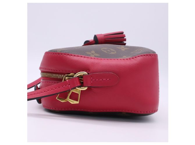 Borsa a tracolla Louis Vuitton Monogram Saint-Onge Freesia - vista 5