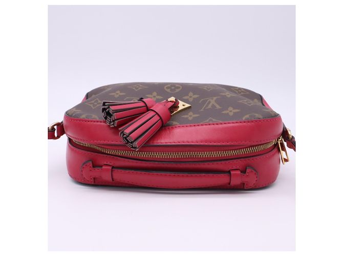Borsa a tracolla Louis Vuitton Monogram Saint-Onge Freesia - vista 8