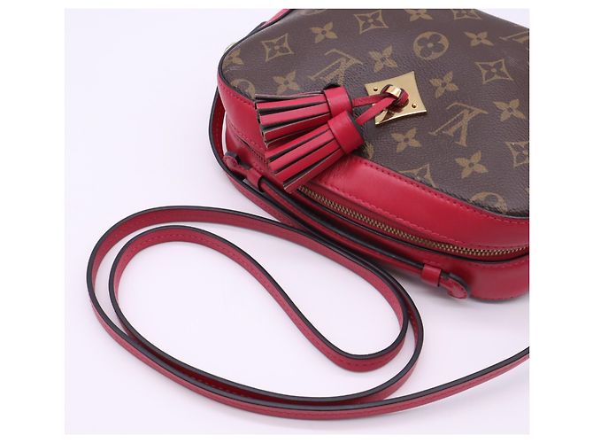 Borsa a tracolla Louis Vuitton Monogram Saint-Onge Freesia - vista 9