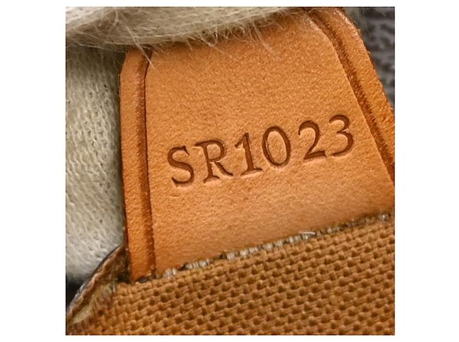 Louis Vuitton Vavin Monogram Canvas GM - vista 5