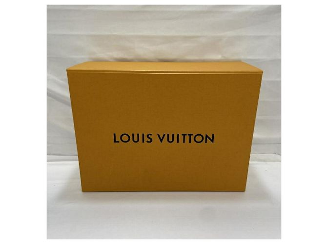 Bolsa Louis Vuitton Saint-Onge Monogram Coquelicot - vista 10