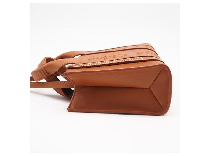Autre Marque Bolso Chloe Woody Mini Tote Bag - vista 10