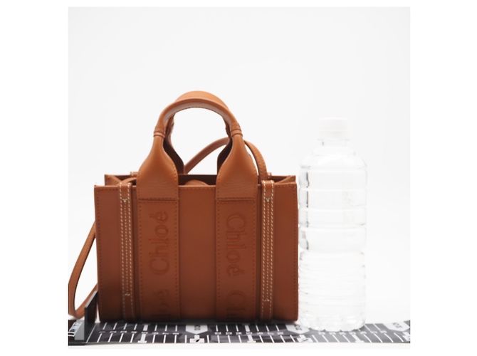 Autre Marque Bolso Chloe Woody Mini Tote Bag - vista 3